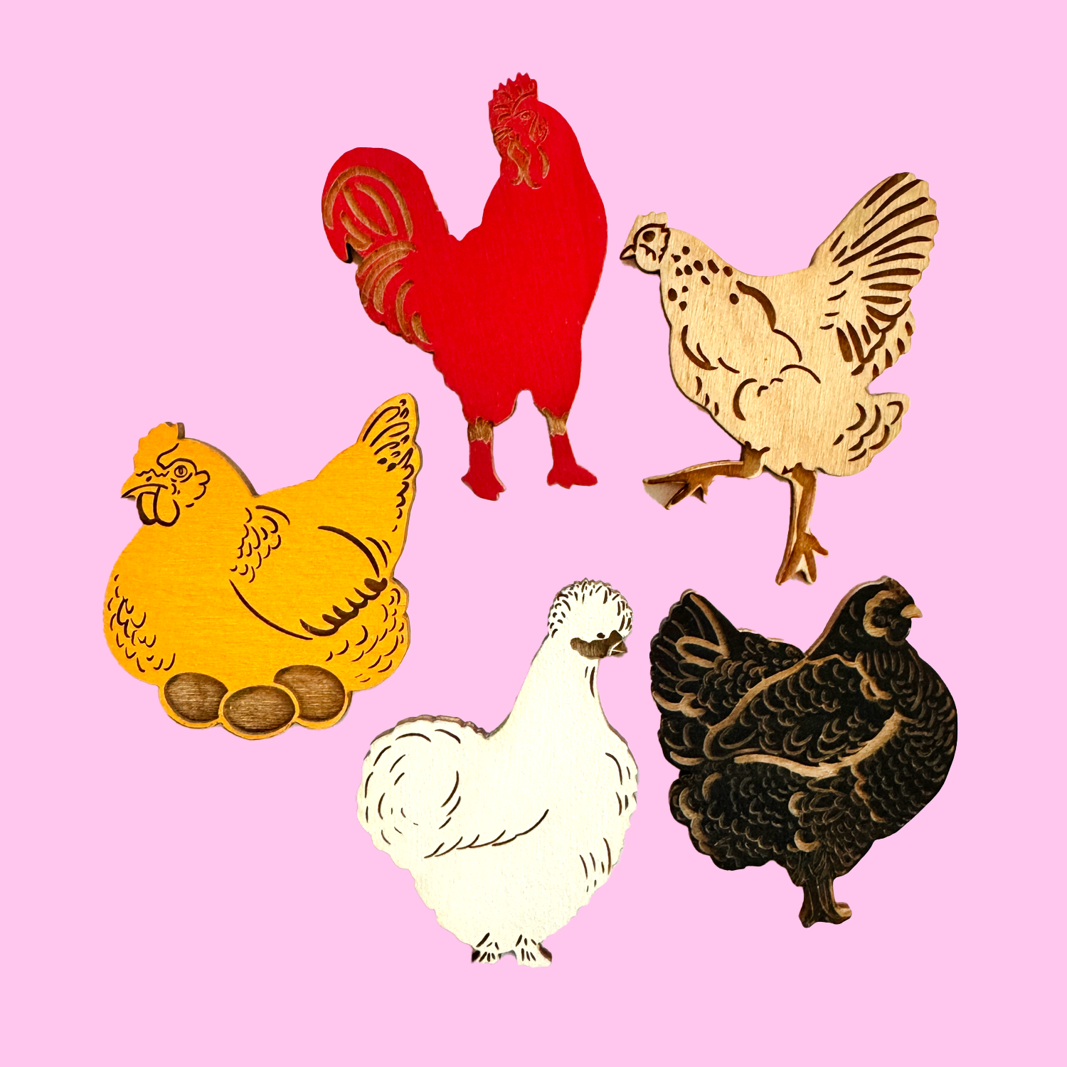 Backyard Birds - Chicken  - Set of 5 Magnets: Various