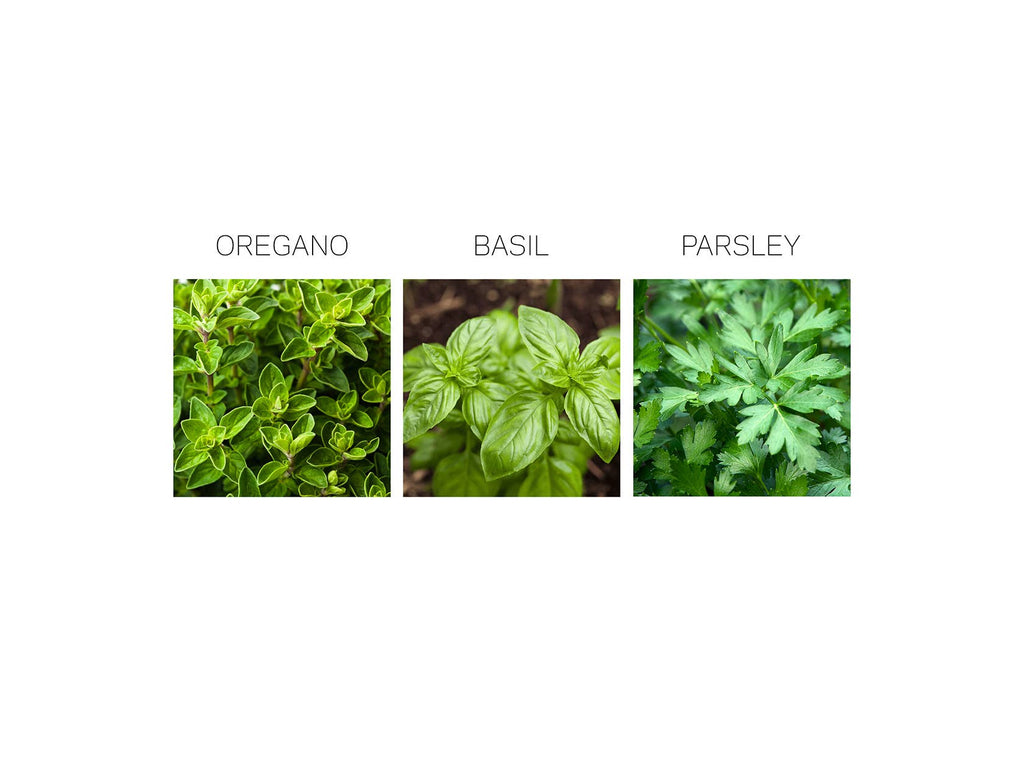 Herb Seed Drops - Italian
