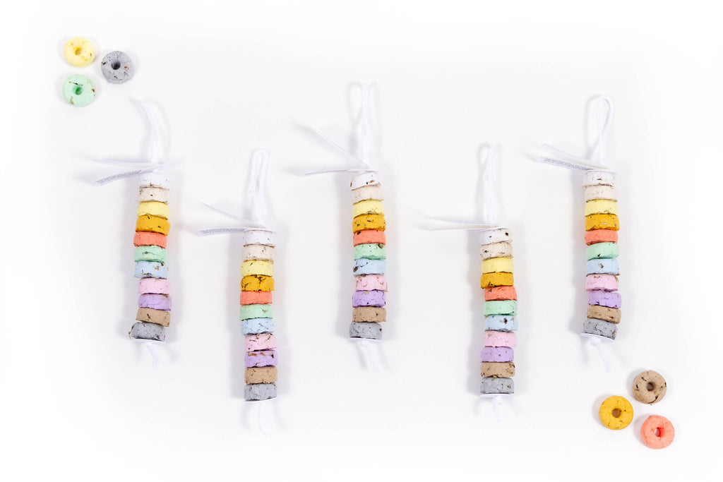 Wildflower Seed Drops - Rainbow