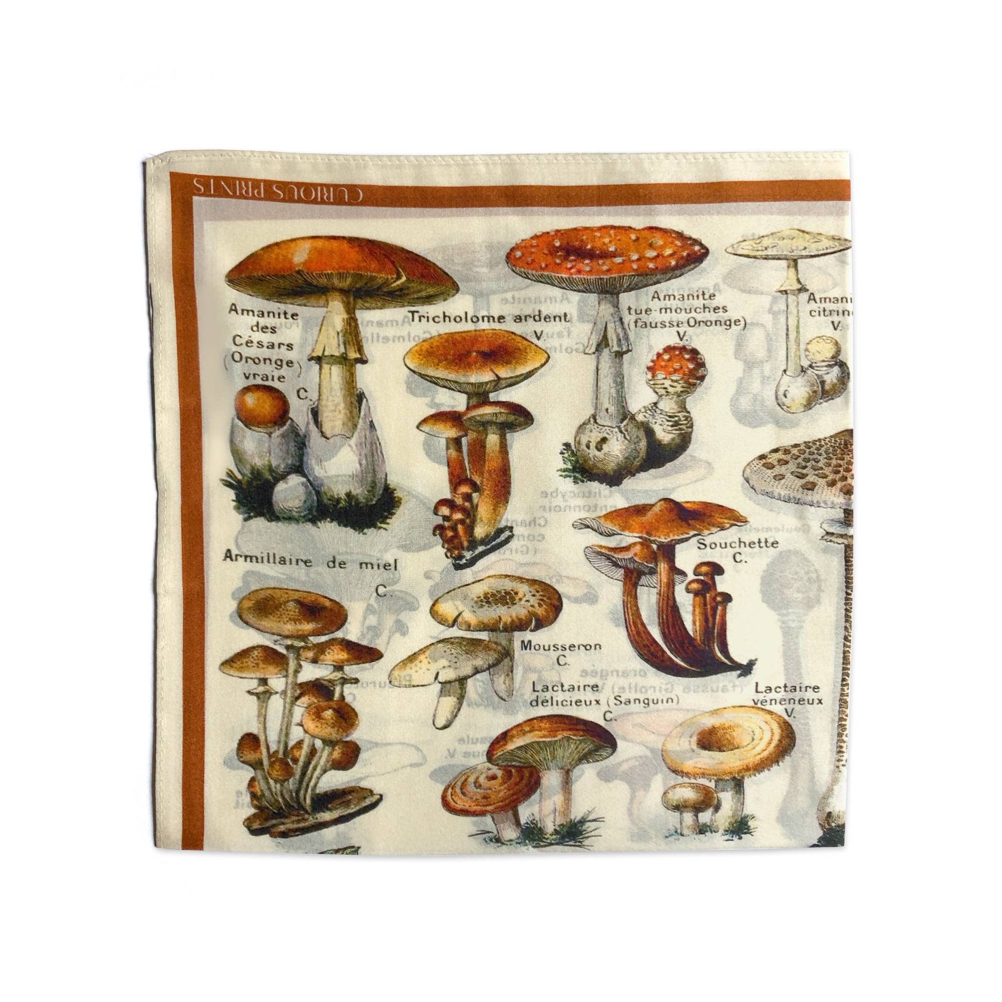 100% Silk Scarf Vintage Mushroom Bandana Tapestry: 17" x 17"