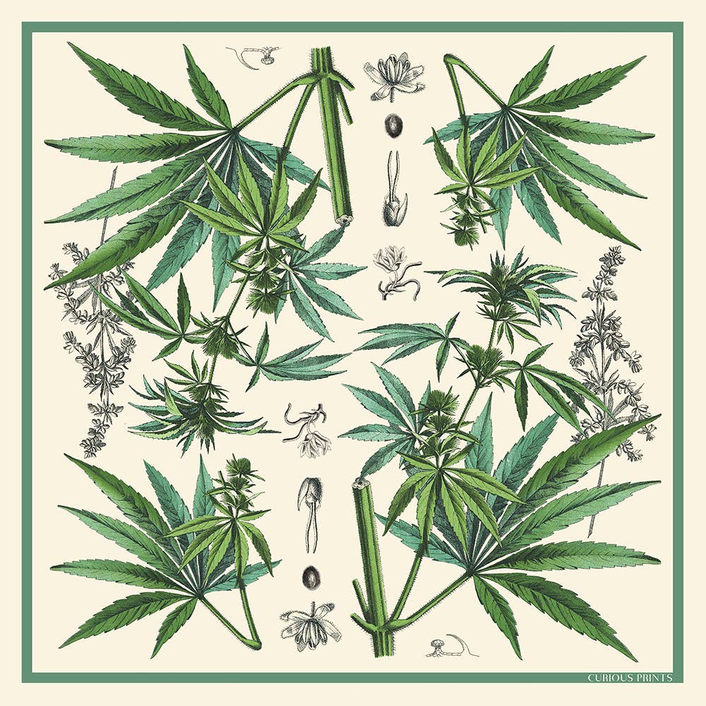 100% Silk Scarf Botanical Marijuana Cannabis Bandana 17x17