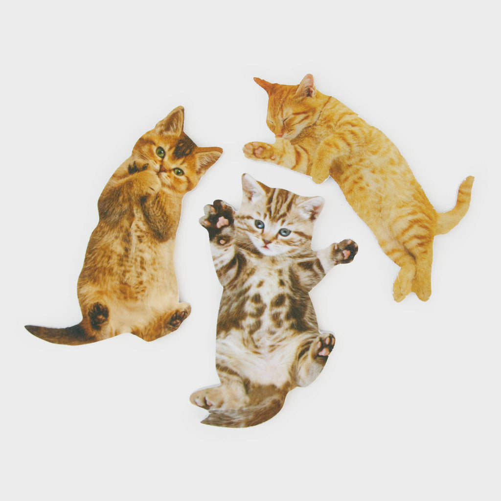 Cat Nail Files – Keep Your Nails in Purrrfect Condition: Nail Files