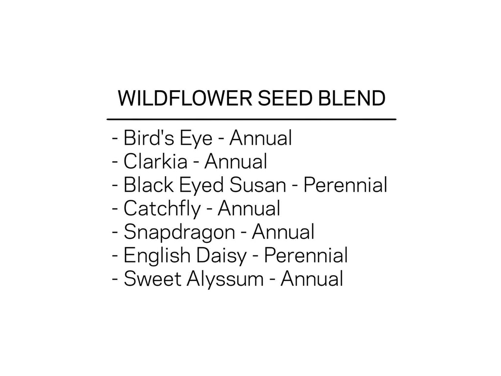 Wildflower Seed Confetti - Mustard