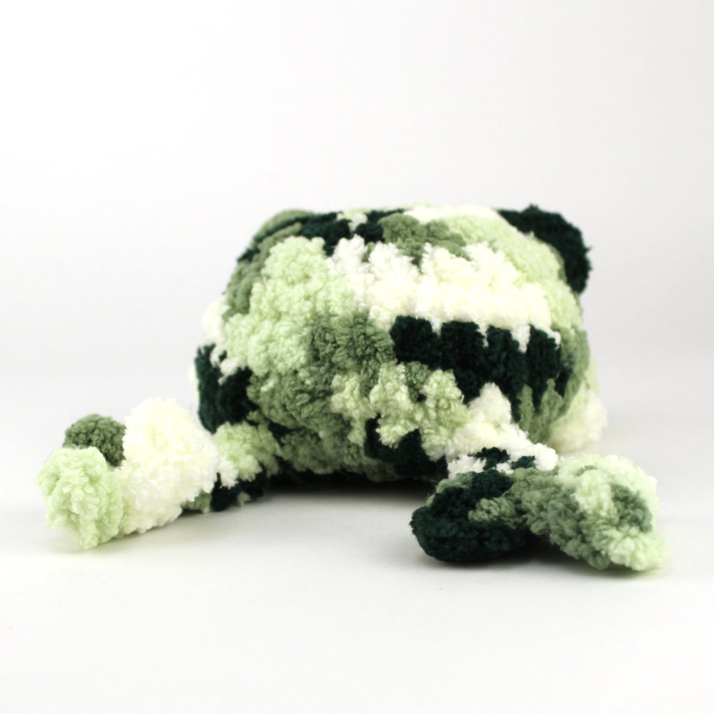 685bf416c0f3f4673dfe2462_back-fred-the-flat-frog_1751402078585.jpg