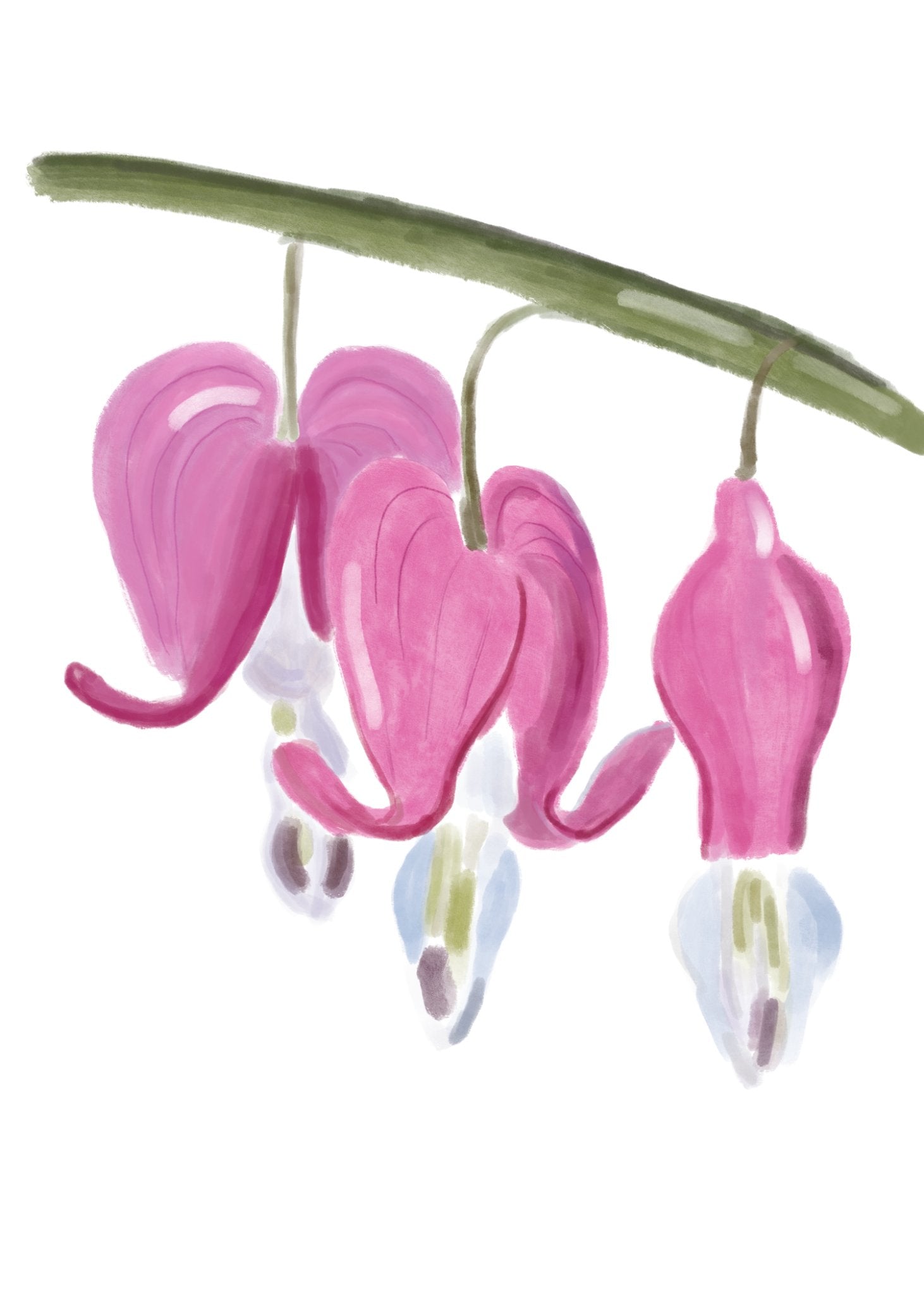 685bf416c0f3f4673dfe2462_bleeding-heart_1771972393819.png
