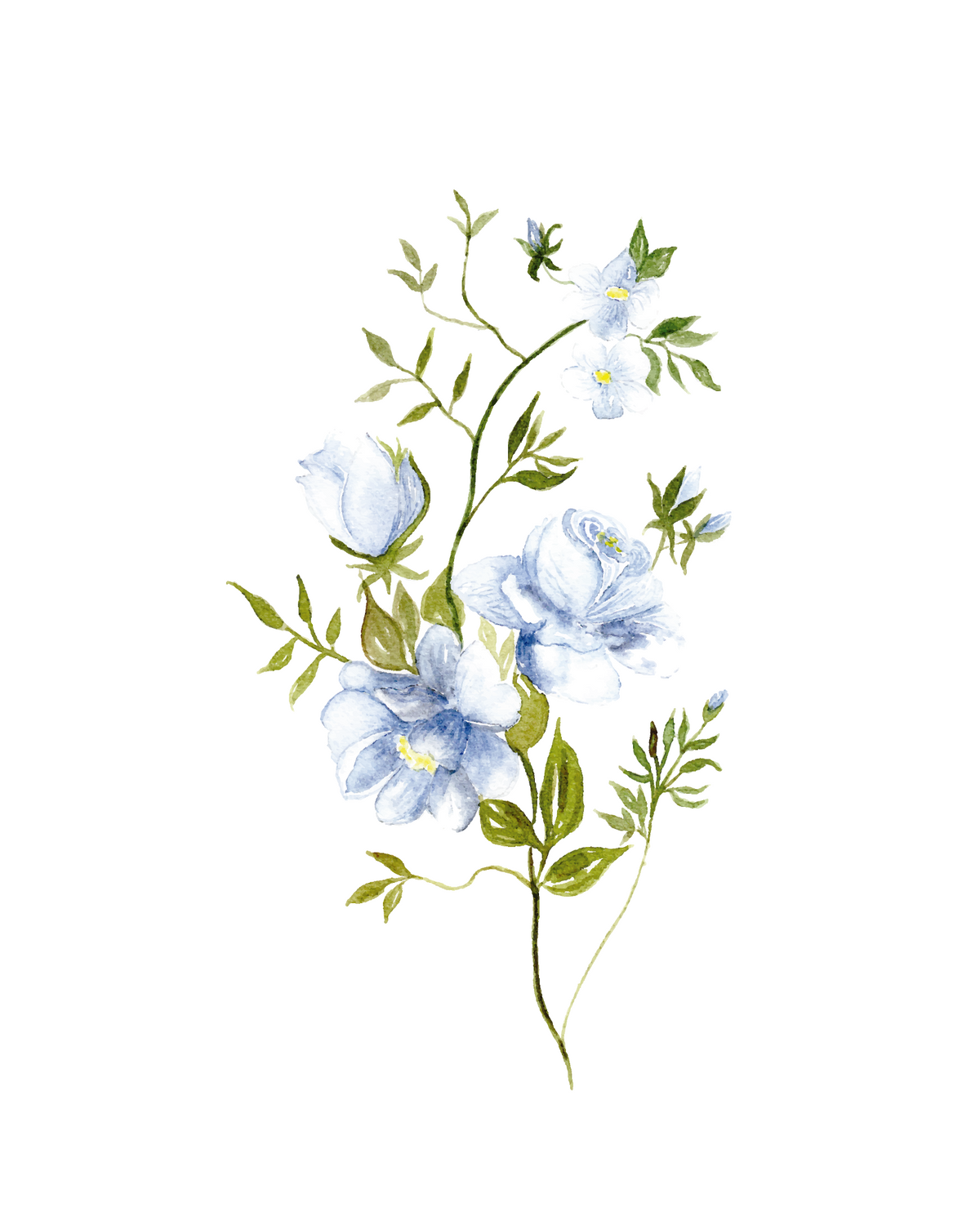 685bf416c0f3f4673dfe2462_blue-roses_1783438130866.png