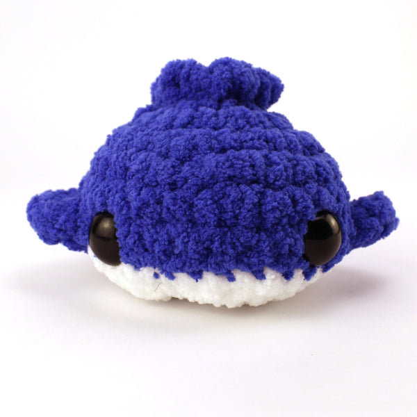 685bf416c0f3f4673dfe2462_blueberry-whale-front_1751402176971.jpg
