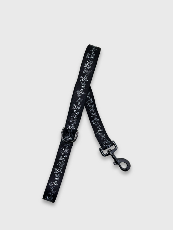 685bf416c0f3f4673dfe2462_correct-leash-skull-dogbones_1764182890188.png