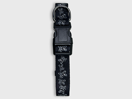 685bf416c0f3f4673dfe2462_correct-skull-crossbones-collar_1764183223615.png