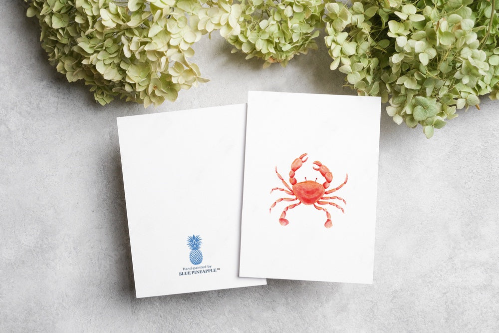 685bf416c0f3f4673dfe2462_folded-nautica-crab1_1772041167108.jpg