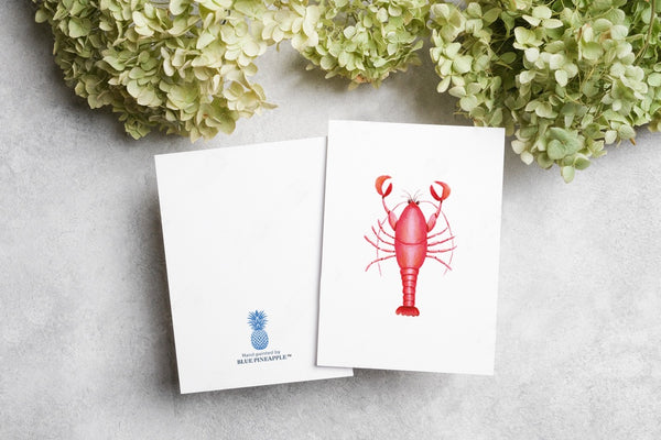 685bf416c0f3f4673dfe2462_folded-nautica-lobster_1772042307967.jpg