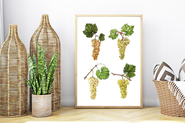685bf416c0f3f4673dfe2462_grapes-reta-laptop_1771615807371.jpg