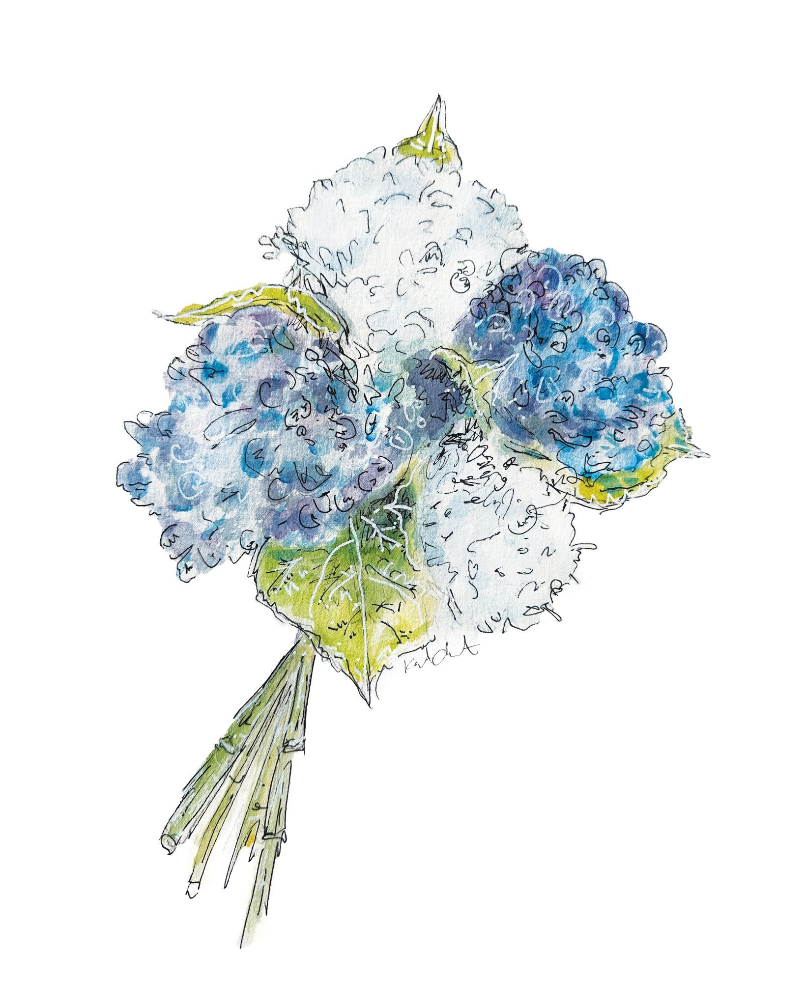 685bf416c0f3f4673dfe2462_hydrangea-v2_1779072260015.jpg