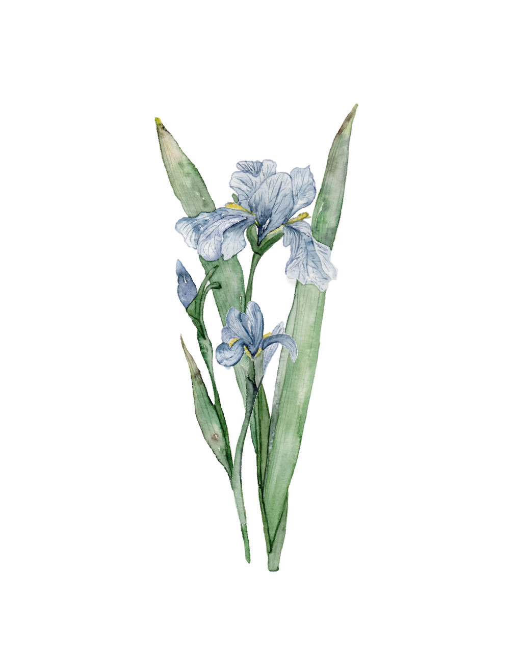 685bf416c0f3f4673dfe2462_irisis-01_1771870429956.png