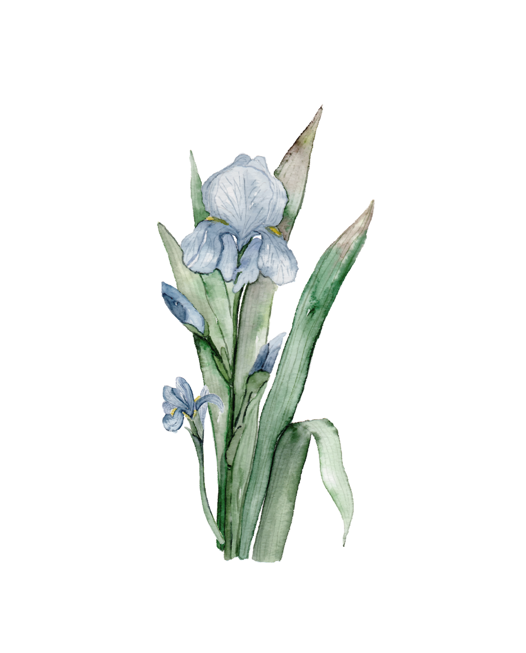 685bf416c0f3f4673dfe2462_irisis-02_1771870429956.png