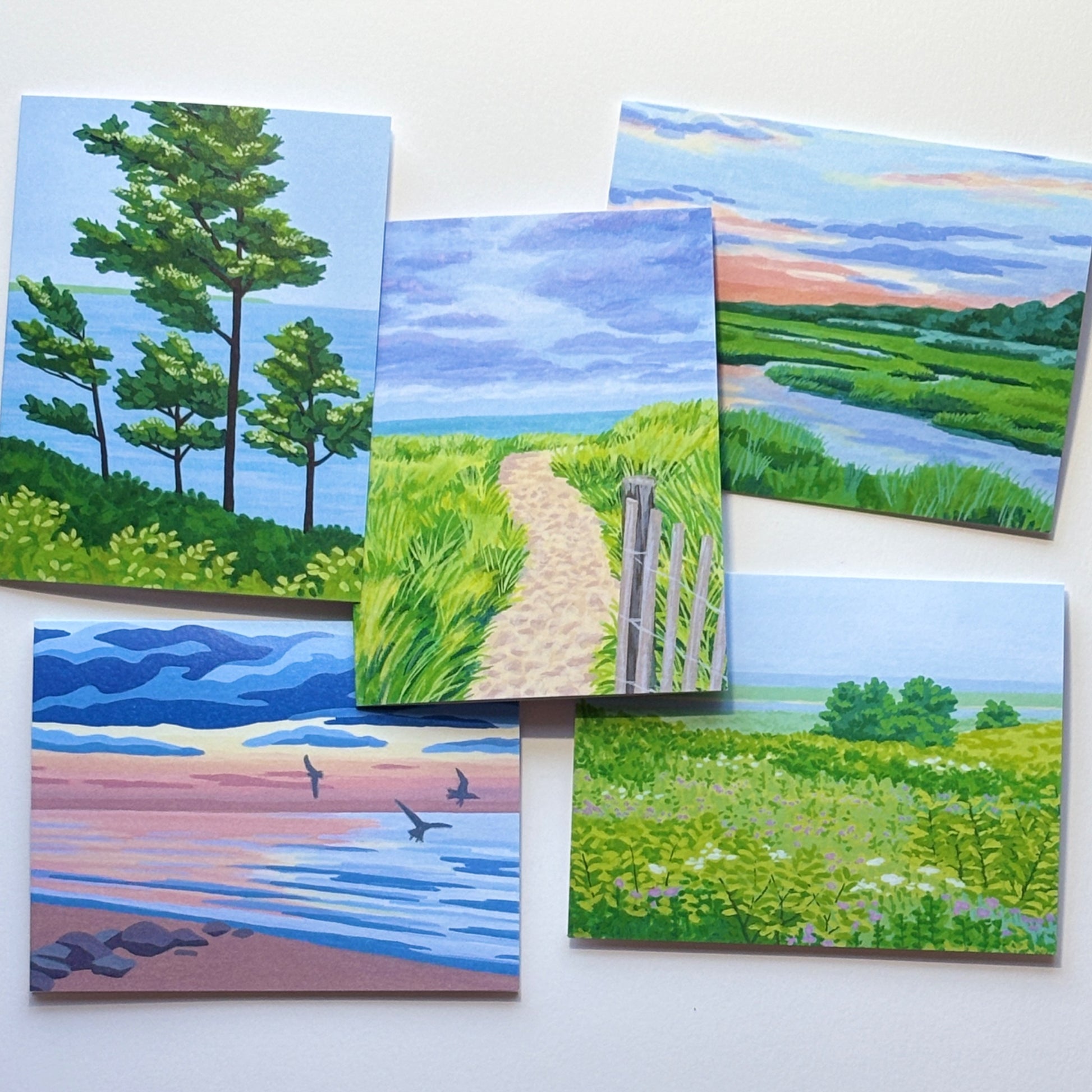 685bf416c0f3f4673dfe2462_landscape-card-pack-2_1771426467143.jpg