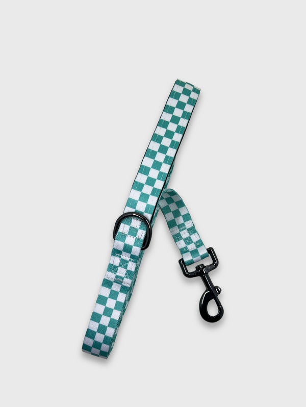 685bf416c0f3f4673dfe2462_leash-blue-checker_1764182077545.png