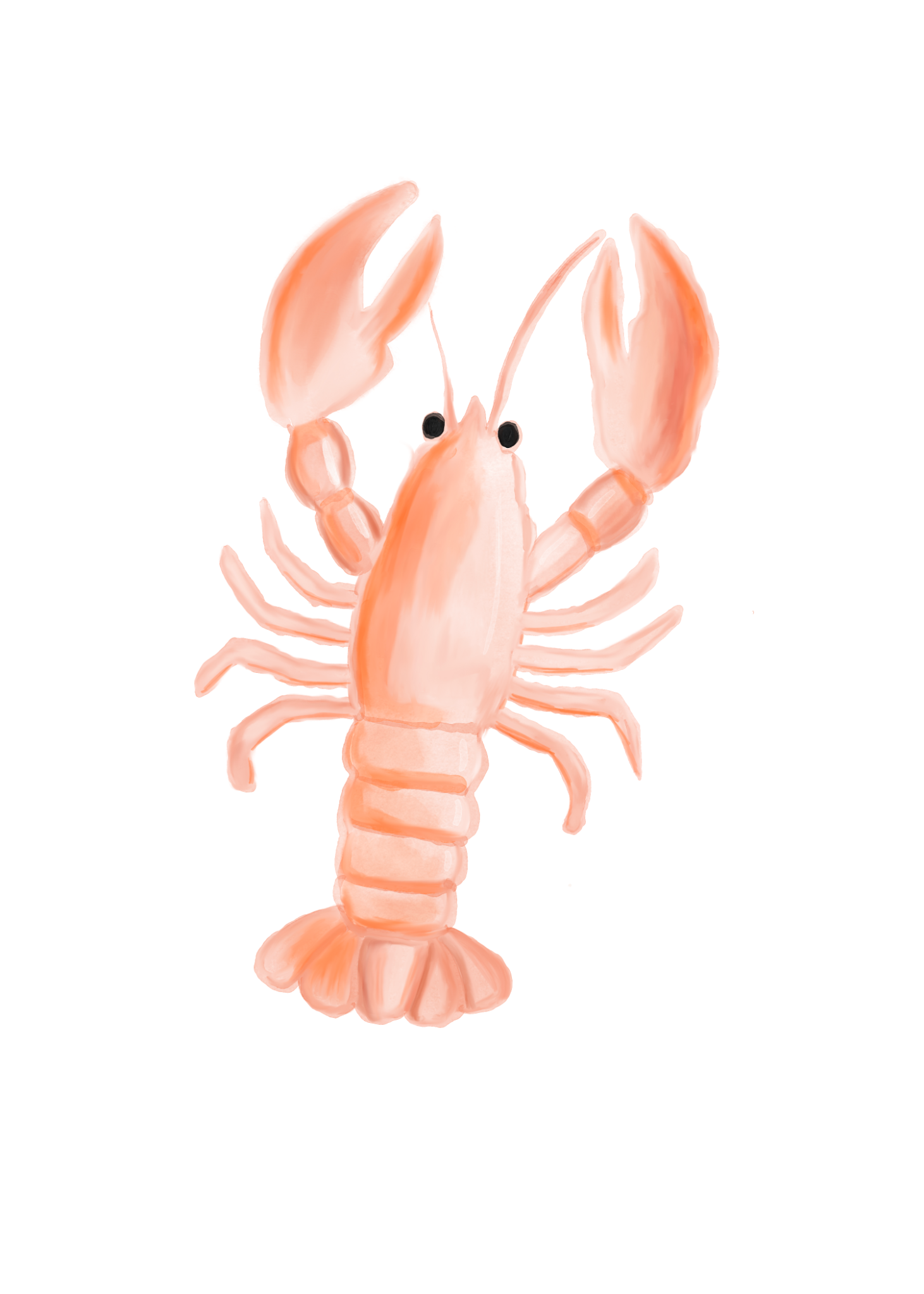 685bf416c0f3f4673dfe2462_lobstah_1771813625562.png