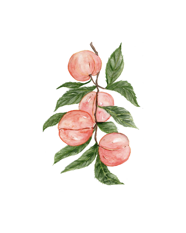 685bf416c0f3f4673dfe2462_peaches-small-8x10_1781893641164.png