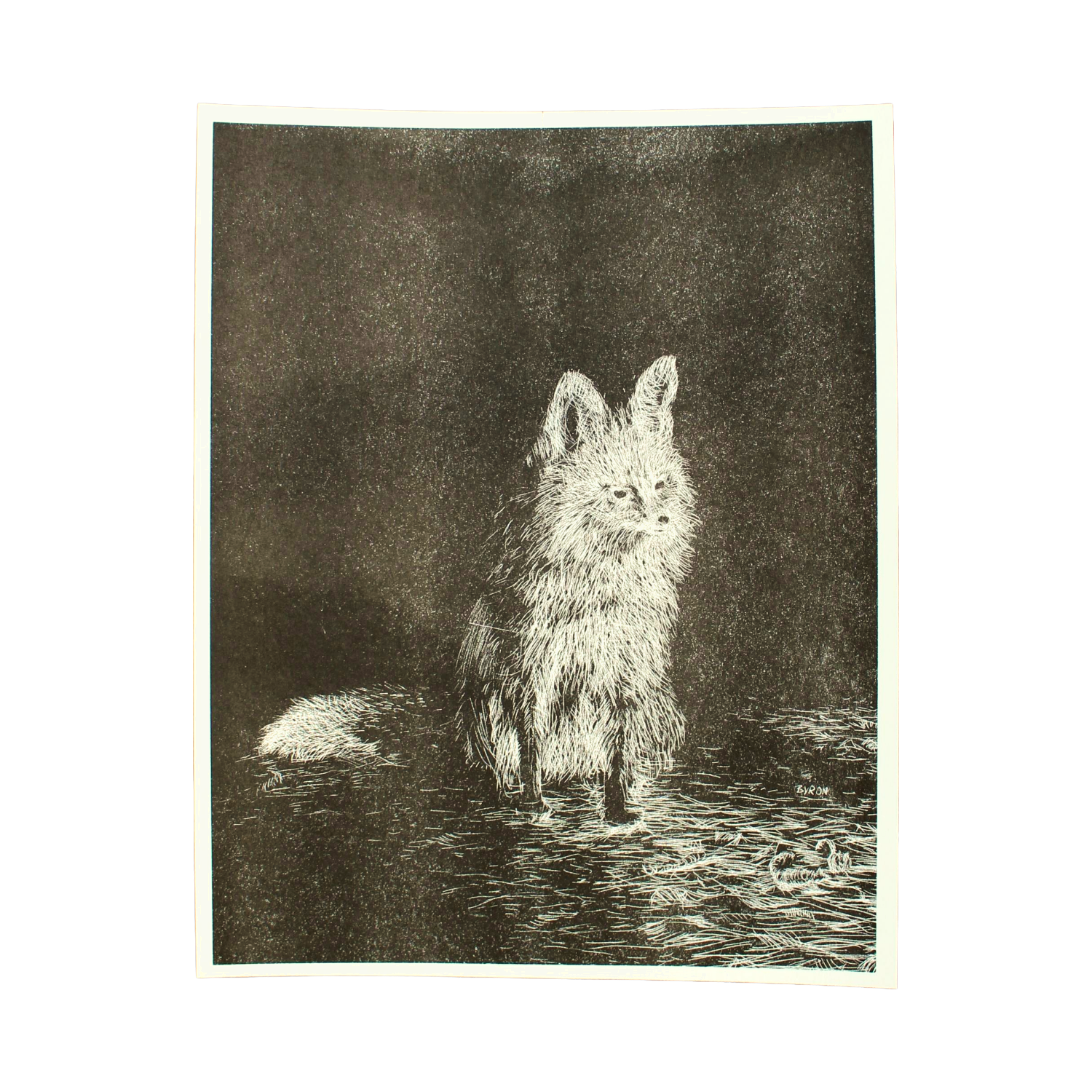 685bf416c0f3f4673dfe2462_pensive-fox-print_1779943132356.png
