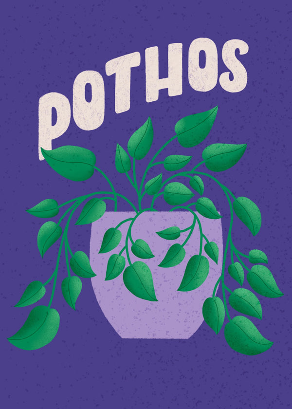 685bf416c0f3f4673dfe2462_pothos-5x7-print_1768787070059.jpg