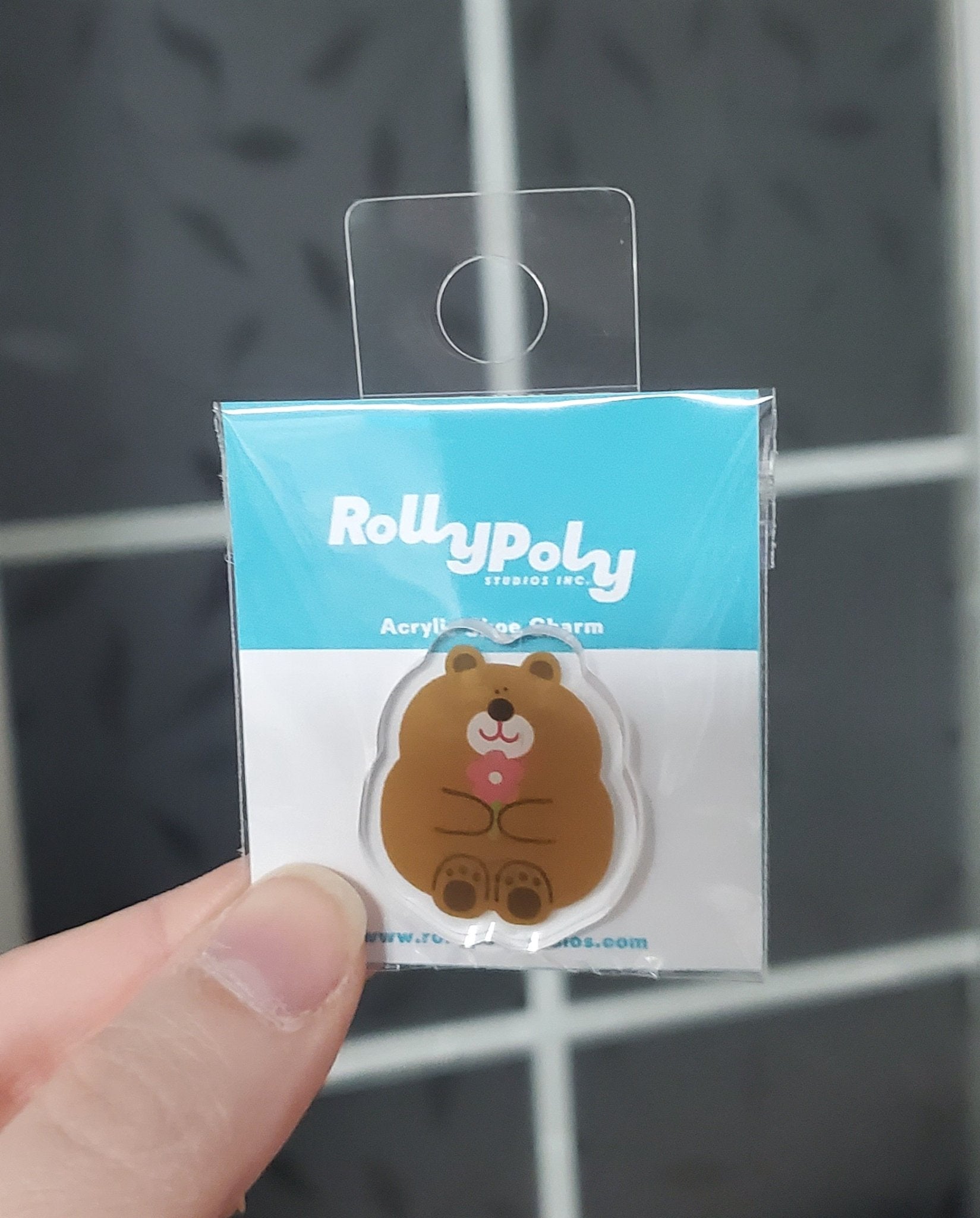 685bf416c0f3f4673dfe2462_rollypoly-bear_1755625789219.jpg