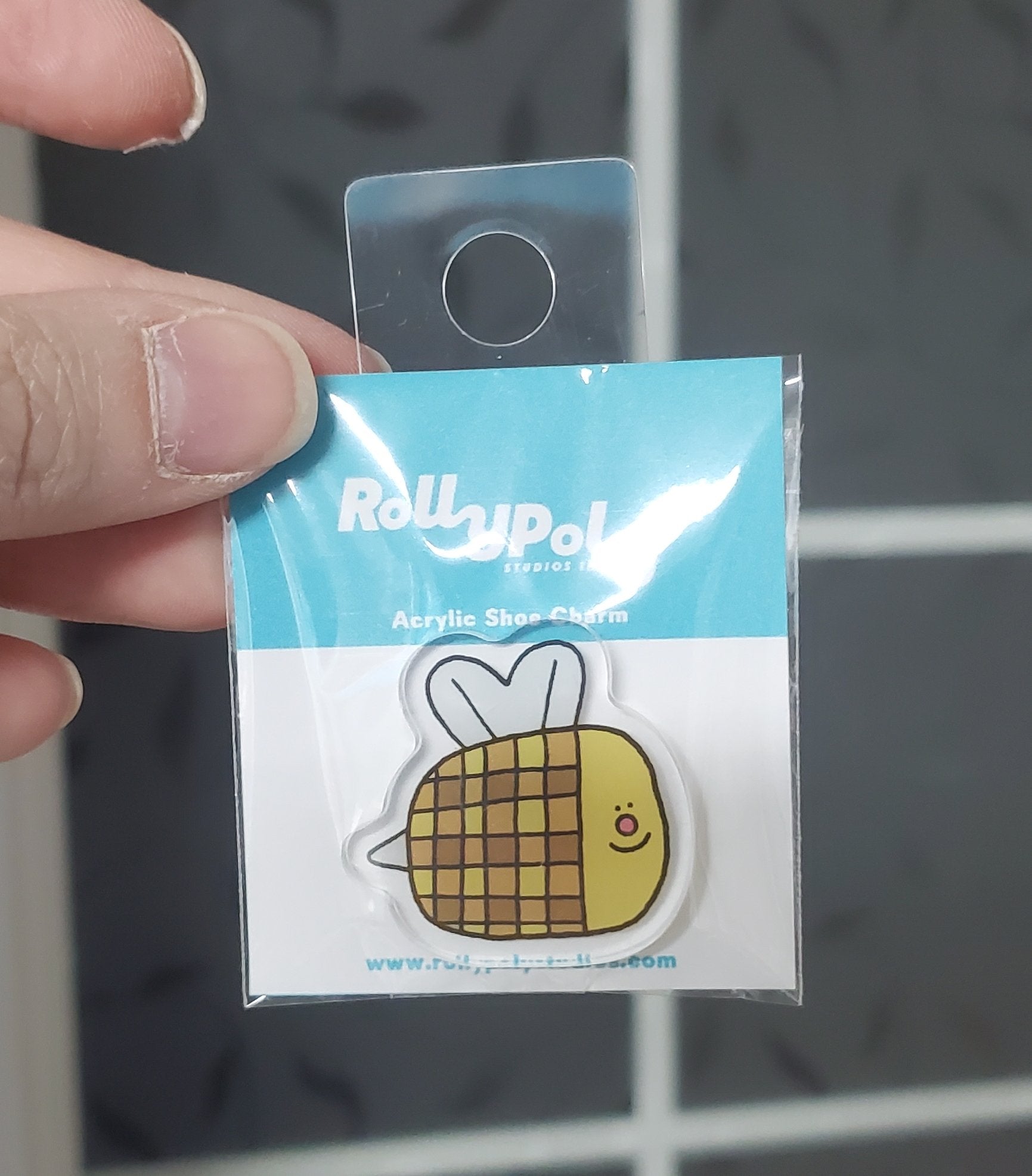 685bf416c0f3f4673dfe2462_rollypoly-bee_1755625904572.jpg