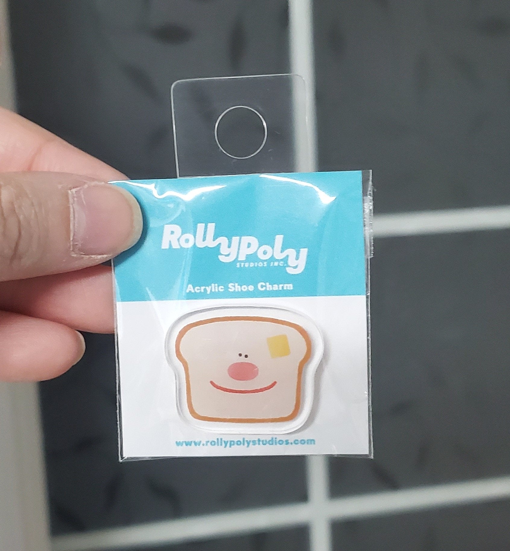 685bf416c0f3f4673dfe2462_rollypoly-toast_1755625617068.jpg