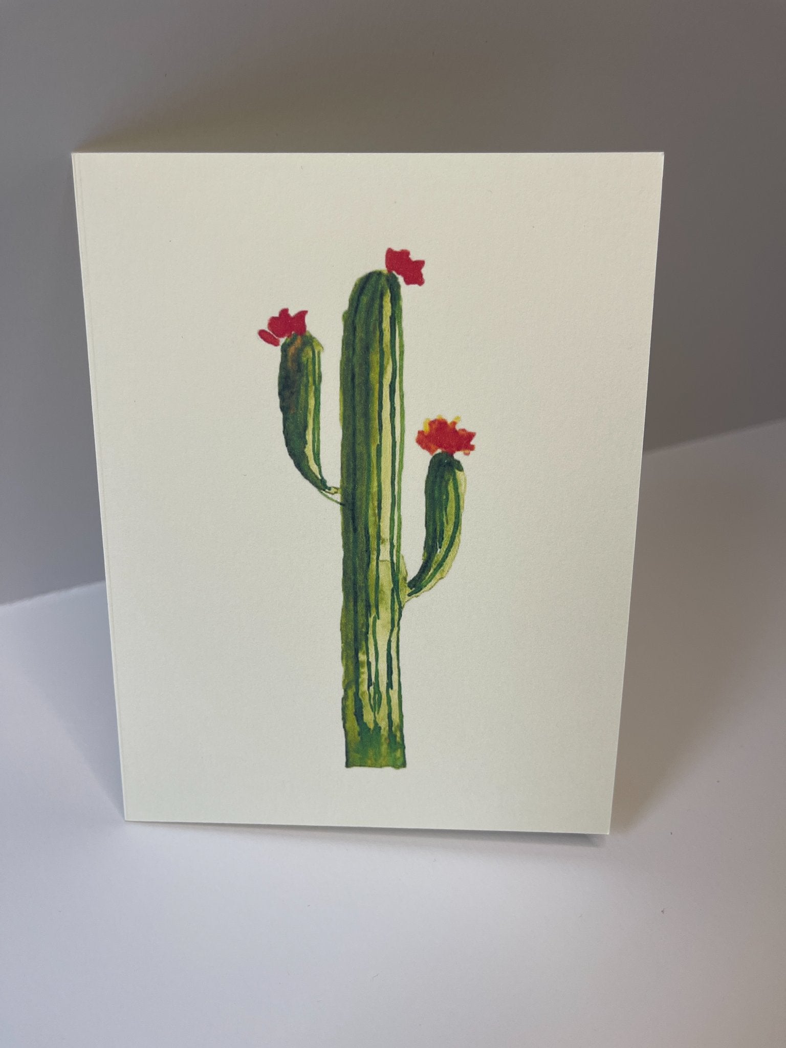 685bf416c0f3f4673dfe2462_saguaro-card_1780088548505.jpg