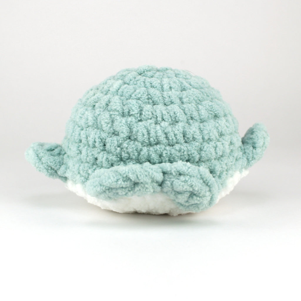 685bf416c0f3f4673dfe2462_sea-foam-plain-whale-back_1751406906693.jpg