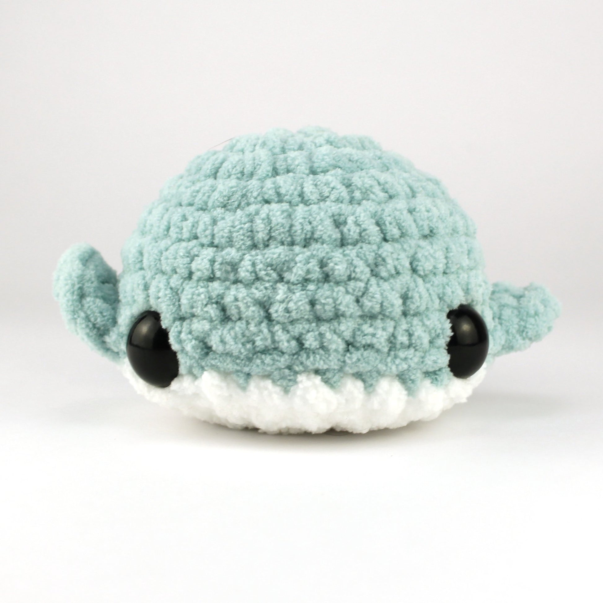 685bf416c0f3f4673dfe2462_sea-foam-plain-whale-front_1751406906693.jpg