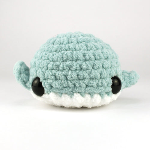 685bf416c0f3f4673dfe2462_sea-foam-plain-whale-front_1751406906693.jpg