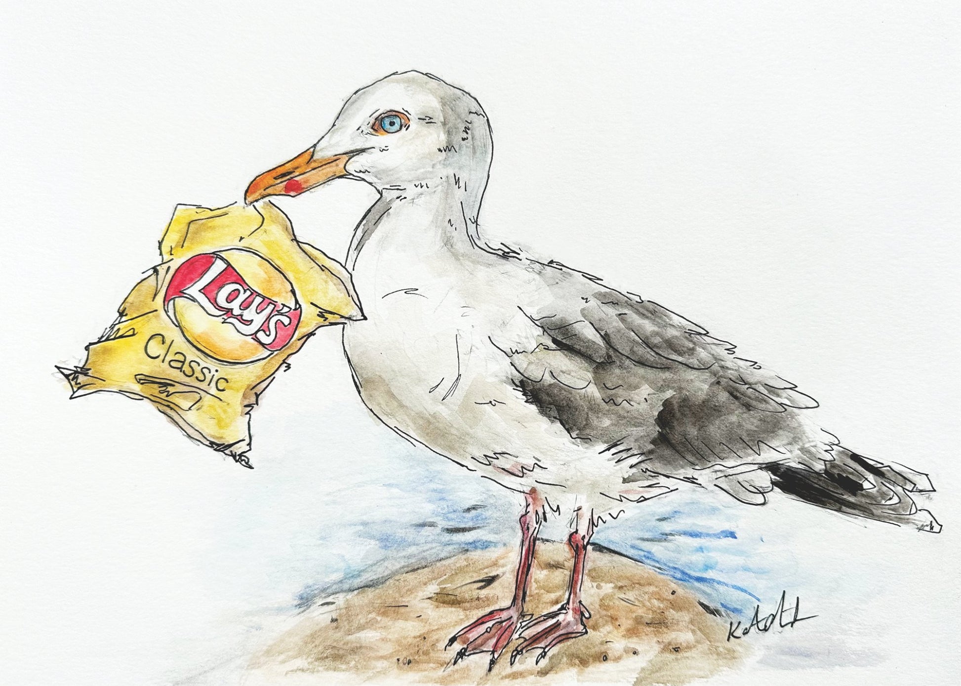 685bf416c0f3f4673dfe2462_seagul-5x7_1779071431267.png