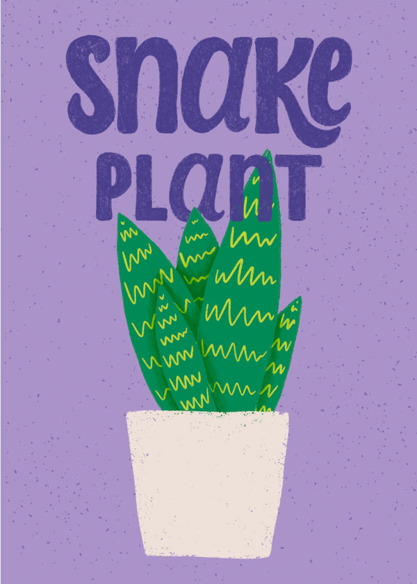 685bf416c0f3f4673dfe2462_snake-plant-print_1768787176763.jpg