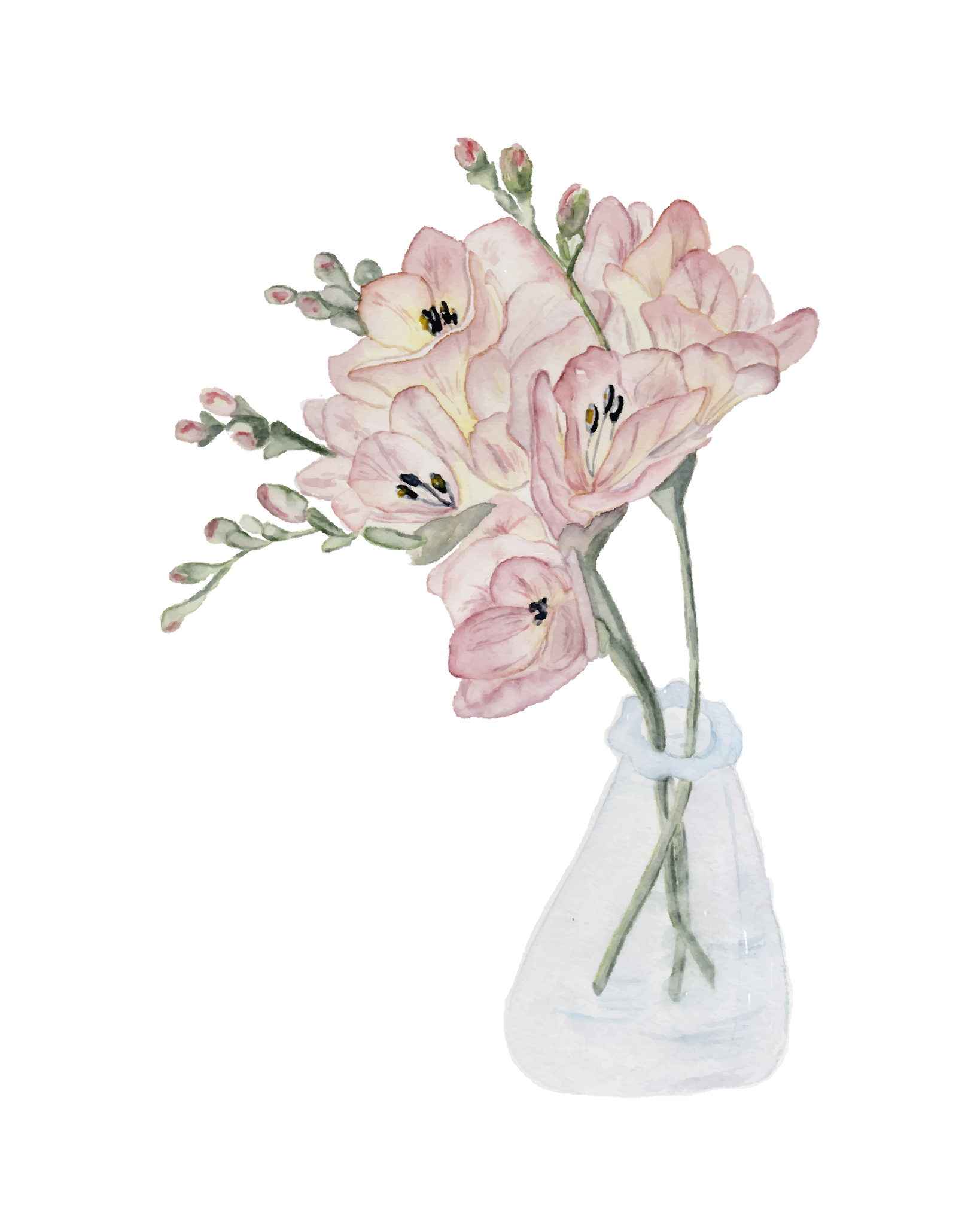 685bf416c0f3f4673dfe2462_studioreta-fresias-8x10_1781893530026.png