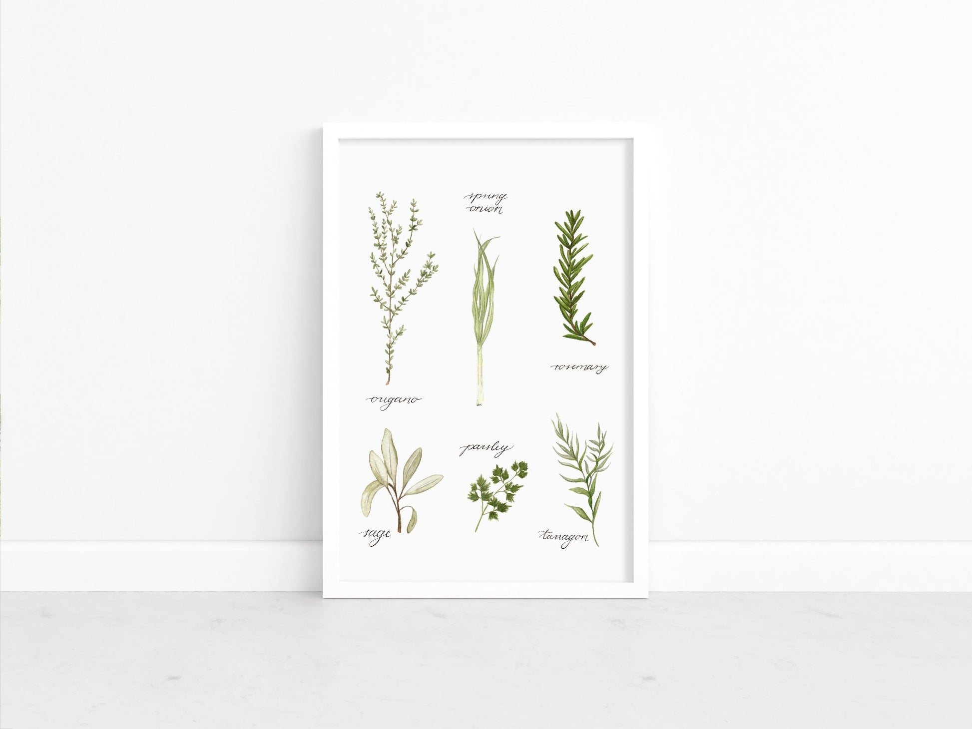 685bf416c0f3f4673dfe2462_studioreta-herbs_1771618810399.jpg