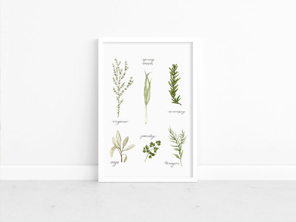 685bf416c0f3f4673dfe2462_studioreta-herbs_1771618810399.jpg