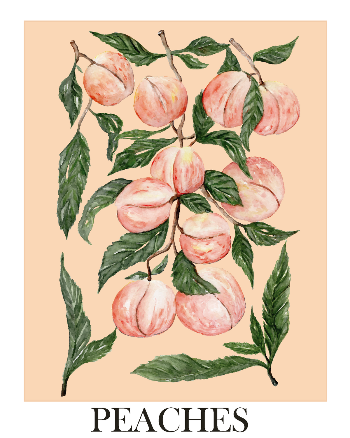 685bf416c0f3f4673dfe2462_studioreta-peaches-8x10_1781893087894.png