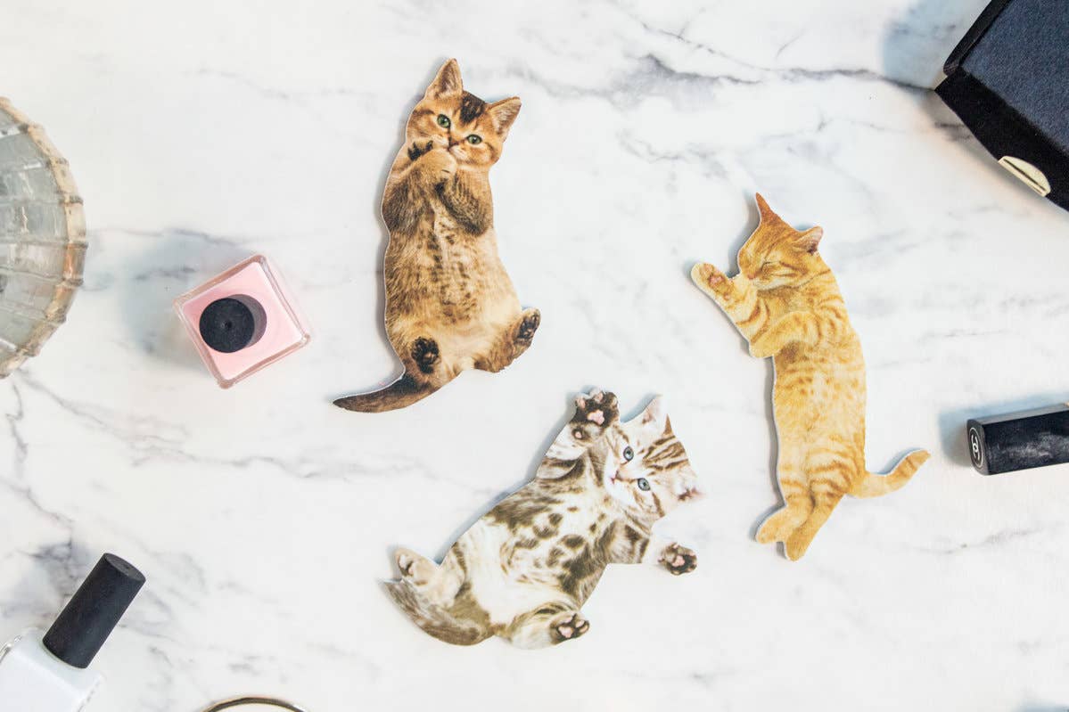 Cat Nail Files – Keep Your Nails in Purrrfect Condition: Nail Files
