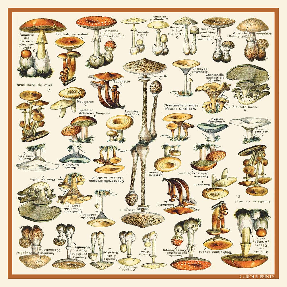 100% Silk Scarf Vintage Mushroom Bandana Tapestry: 17" x 17"