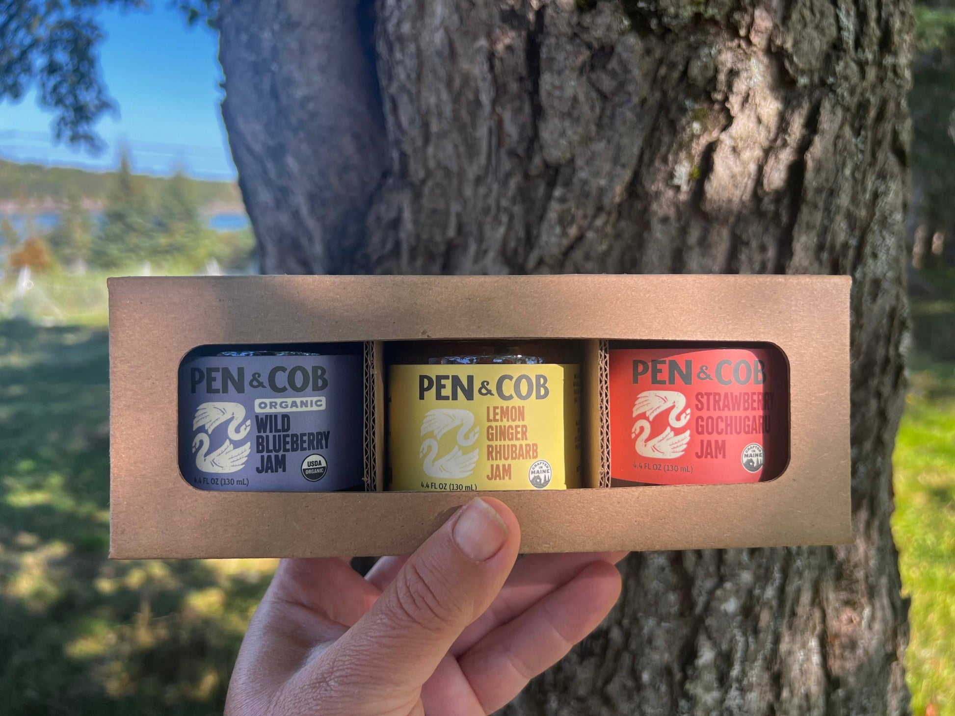 Small Batch Jam Gift Box: Organic Spiced Blueberry | Pumpkin Curry | Apple Cardamom