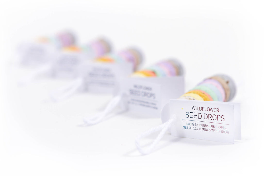 Wildflower Seed Drops - Rainbow