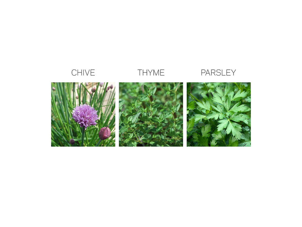 Herb Seed Drops - French
