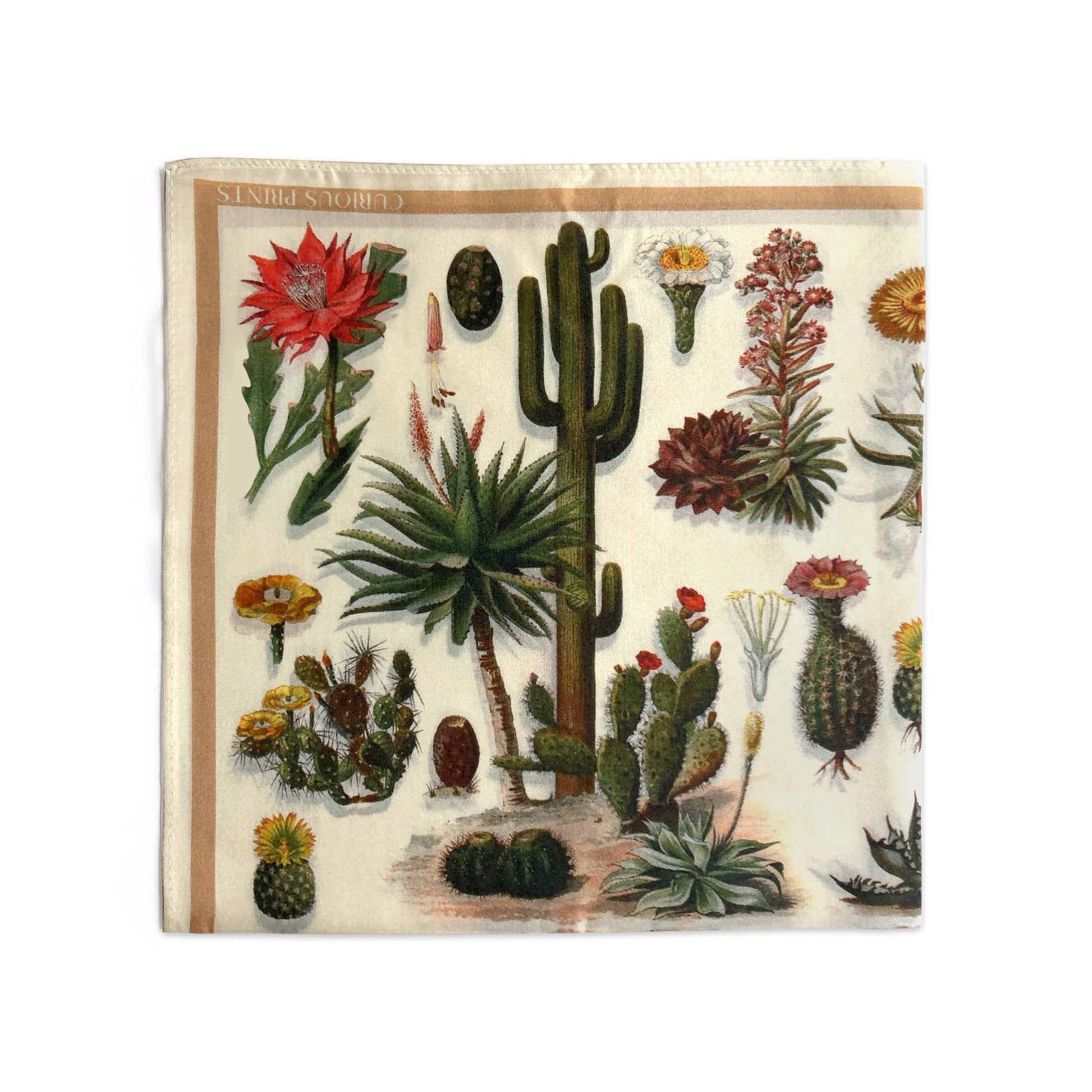 100% Silk Scarf Botanical Cactus Summer Bandana Tapestry: 17" x 17"
