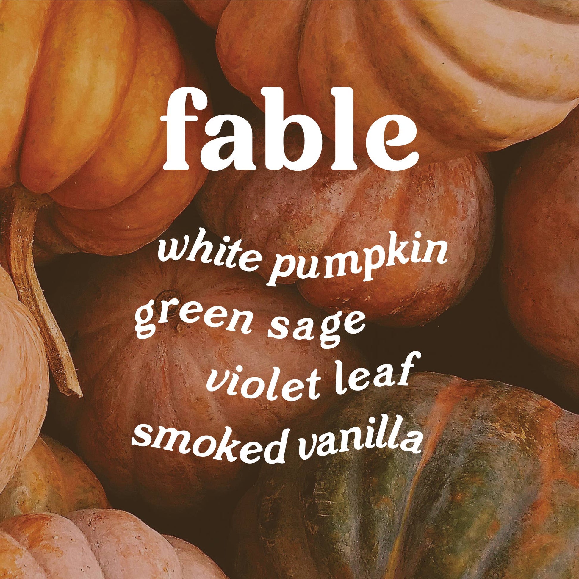 Fable 9 oz. Hue Candle (Pumpkin Sage)