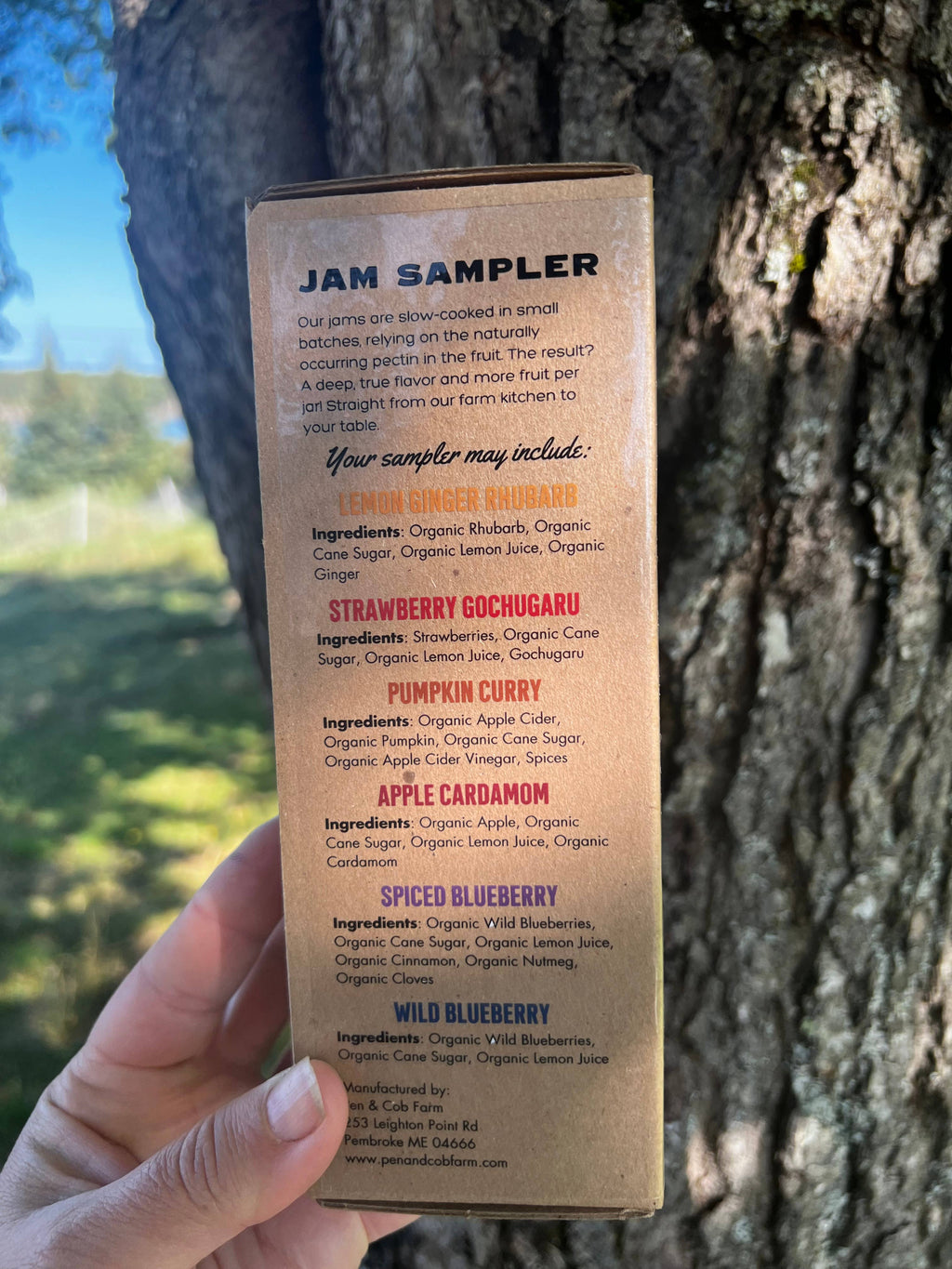 Small Batch Jam Gift Box: Organic Spiced Blueberry | Pumpkin Curry | Apple Cardamom