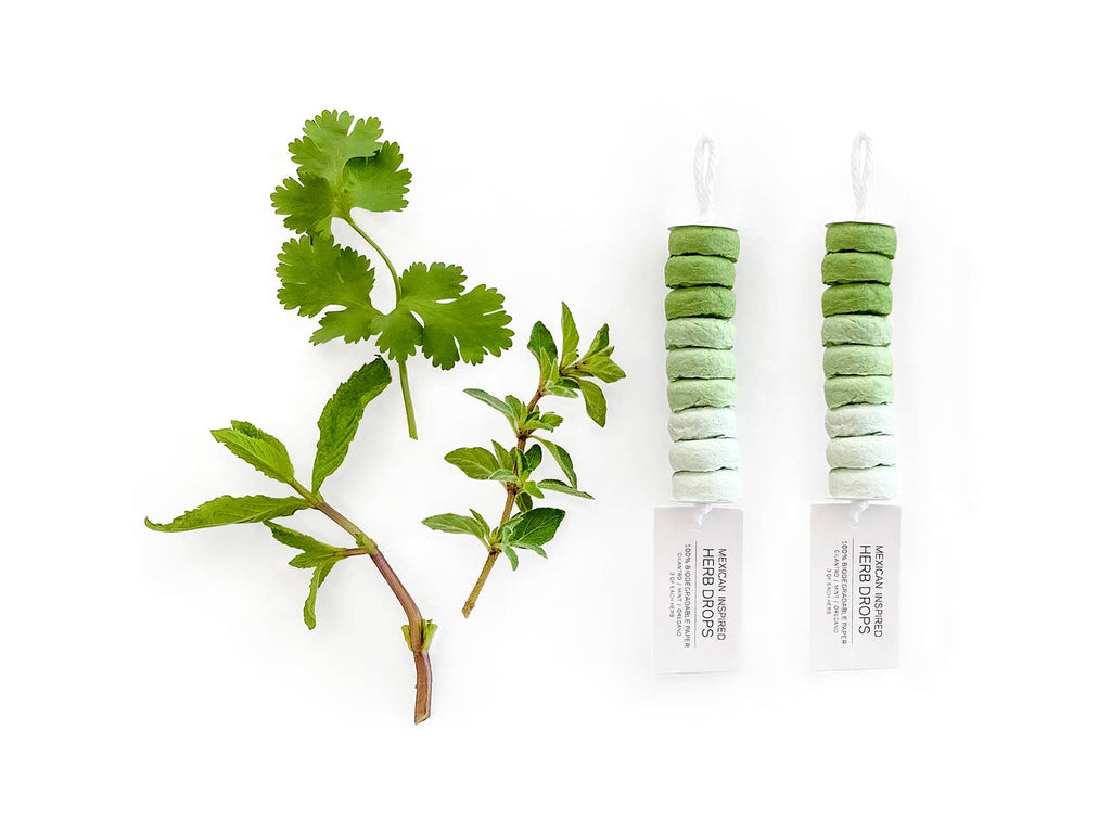 Herb Seed Drops - Mexican