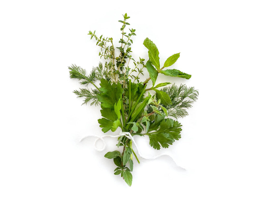Herb Seed Drops - Mexican