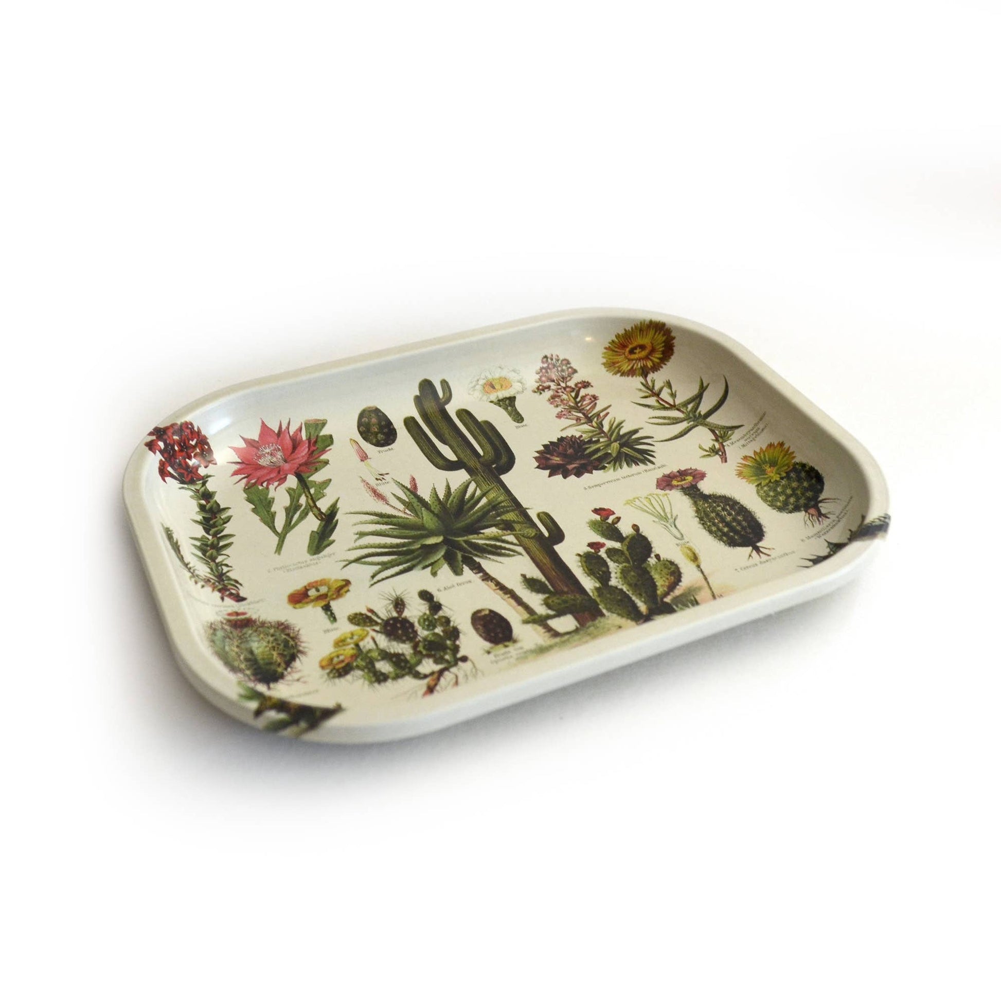 Small Metal Cactus Catchall Tray / Vintage Cacti Dish